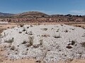 6900 sq.m. building plot in Jumilla in Ole International