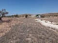 6900 sq.m. building plot in Jumilla in Ole International