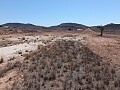 6900 sq.m. building plot in Jumilla in Ole International