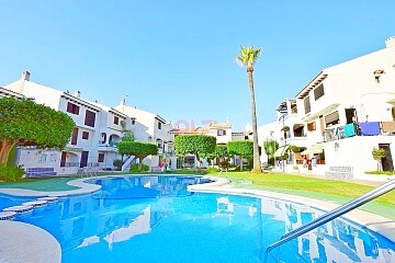 Appartement met 1 slaapkamer in Playa Flamenca in Ole International