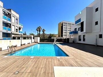 Appartement met 1 slaapkamer in Torrevieja * in Ole International