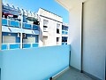 Apartament cu 1 dormitor în Torrevieja * in Ole International