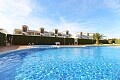 Appartement met 2 slaapkamers in Playa Flamenca  in Ole International