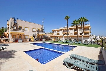Penthouse met 2 slaapkamers, privésolarium en frontaal uitzicht op het zwembad in Villamartín * in Ole International