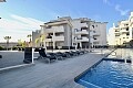 Apartamento moderno de 3 dormitorios cerca de Villamartín in Ole International