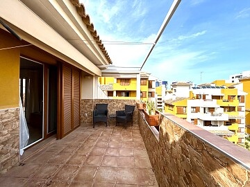 Atico de 2 dormitorios con terraza y solarium en Punta Prima * in Ole International