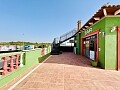 Local comercial en Lomas de Cabo Roig in Ole International