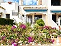 Bungalow au rez-de-chaussée de 2 chambres avec jardin et solarium à Villamartin * in Ole International