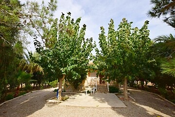 Maison de campagne de 2 chambres à Dolores  in Ole International