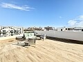 Luxurious 3-bedroom penthouse with private solarium in Villamartin in Ole International