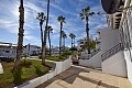 Bungalow met 2 slaapkamers op de begane grond in Villamartín * in Ole International