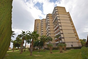 Seafront apartment with 4 bedroom in Dehesa de Campoamor  in Ole International