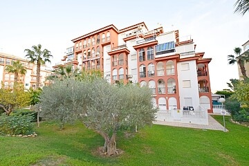 1 bedroom apartment in Torrelamata 10 minutes walk to La Mata beach in Ole International