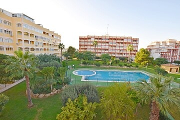 Appartamento con 1 camera da letto a Torrelamata a 10 minuti dalla spiaggia di La Mata  in Ole International