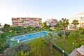 1 bedroom apartment in Torrelamata 10 minutes walk to La Mata beach in Ole International