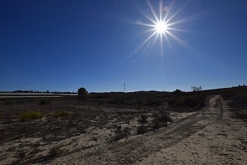 Large plot of 12.000 sq.m. to be built the village of San Miguel de Salinas  in Ole International