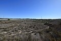 Grand terrain à bâtir de 12 000 m2 près de San Miguel de Salinas   in Ole International