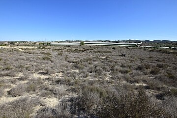 Duża działka budowlana o powierzchni 25 000 m2 w pobliżu San Miguel de Salinas   in Ole International