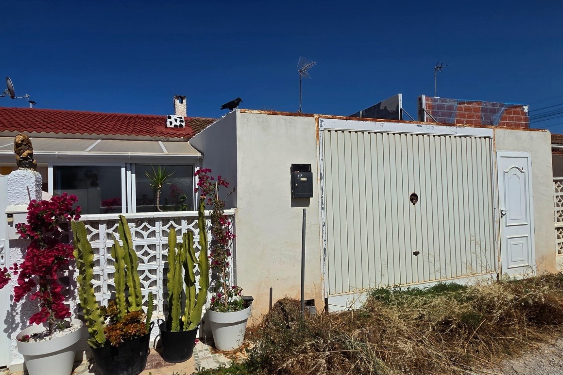 Herverkoop - Bungalow - Torrevieja - Torreta