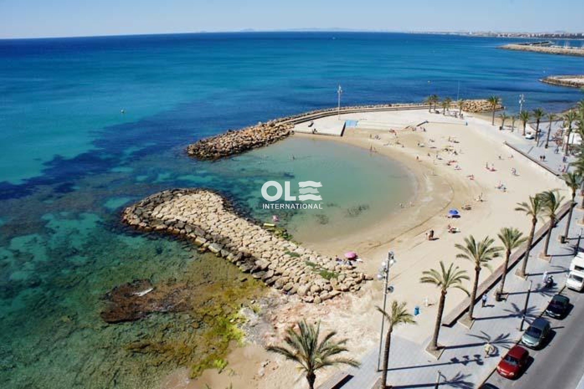 New Build - Apartment - Torrevieja - Habaneras