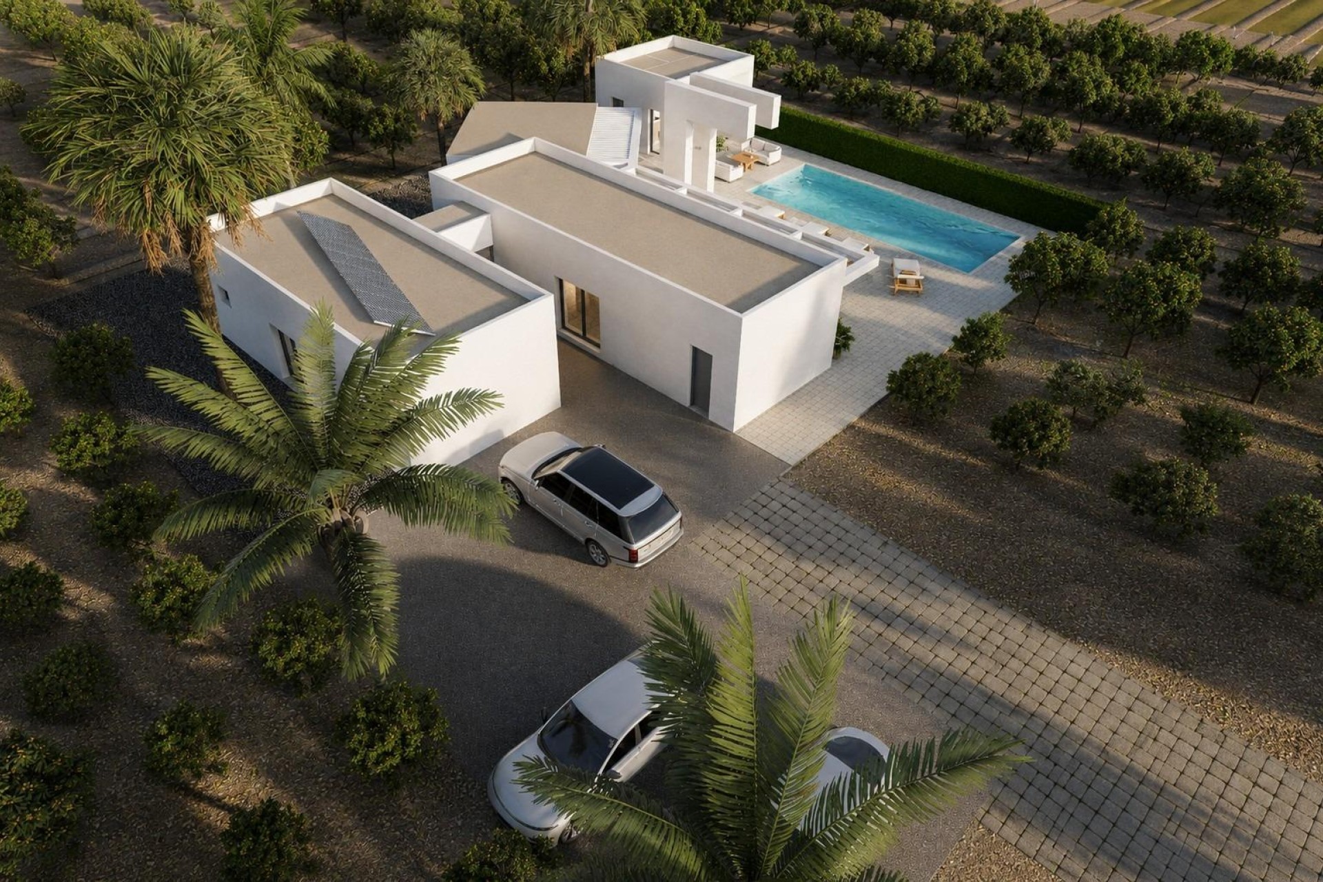 New Build - Villa - Benejúzar - alta