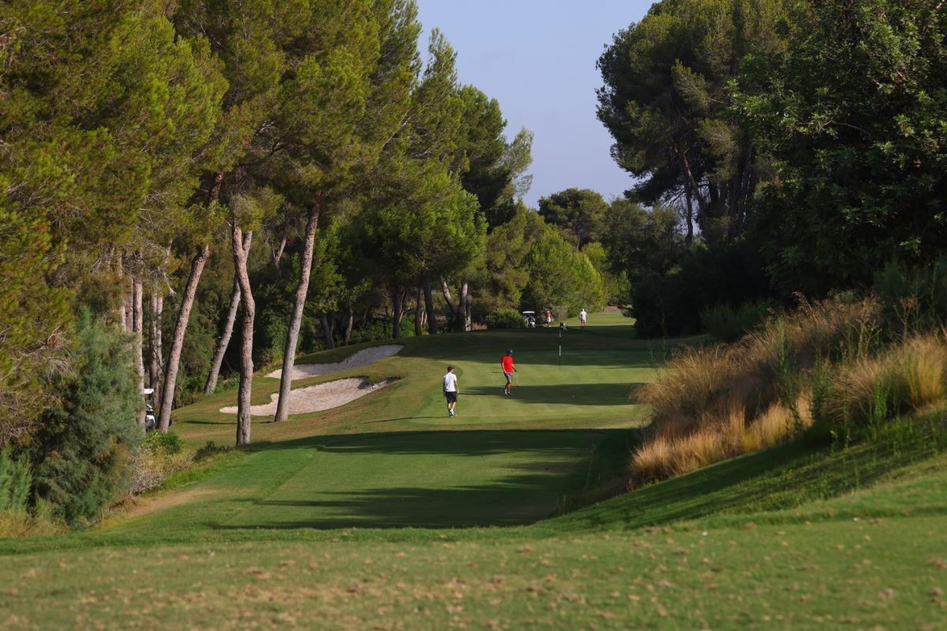 New Build - Villa - Orihuela Costa - Las Colinas Golf