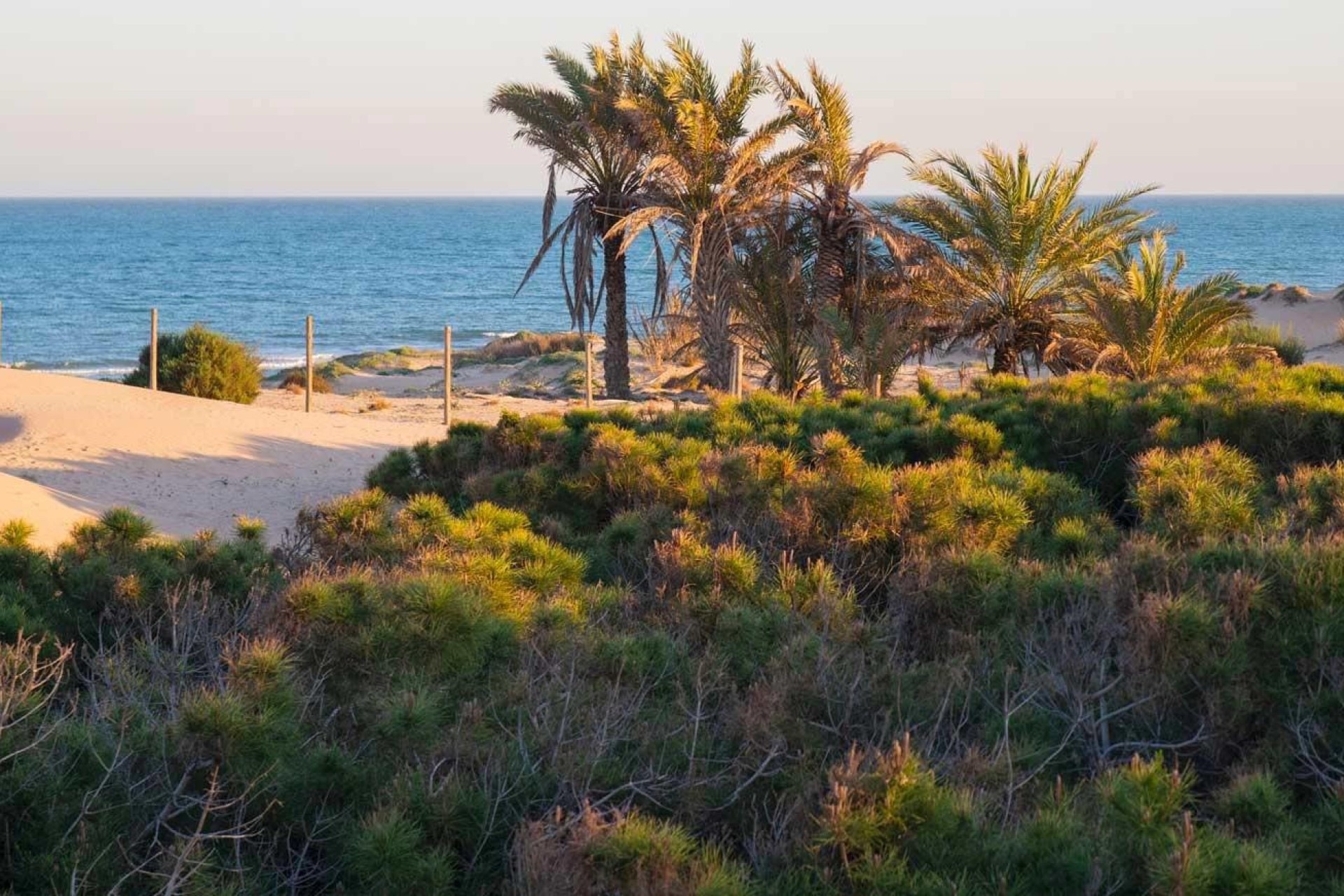 Nieuwbouw Woningen - Apartment - Guardamar del Segura - Avda del Puerto