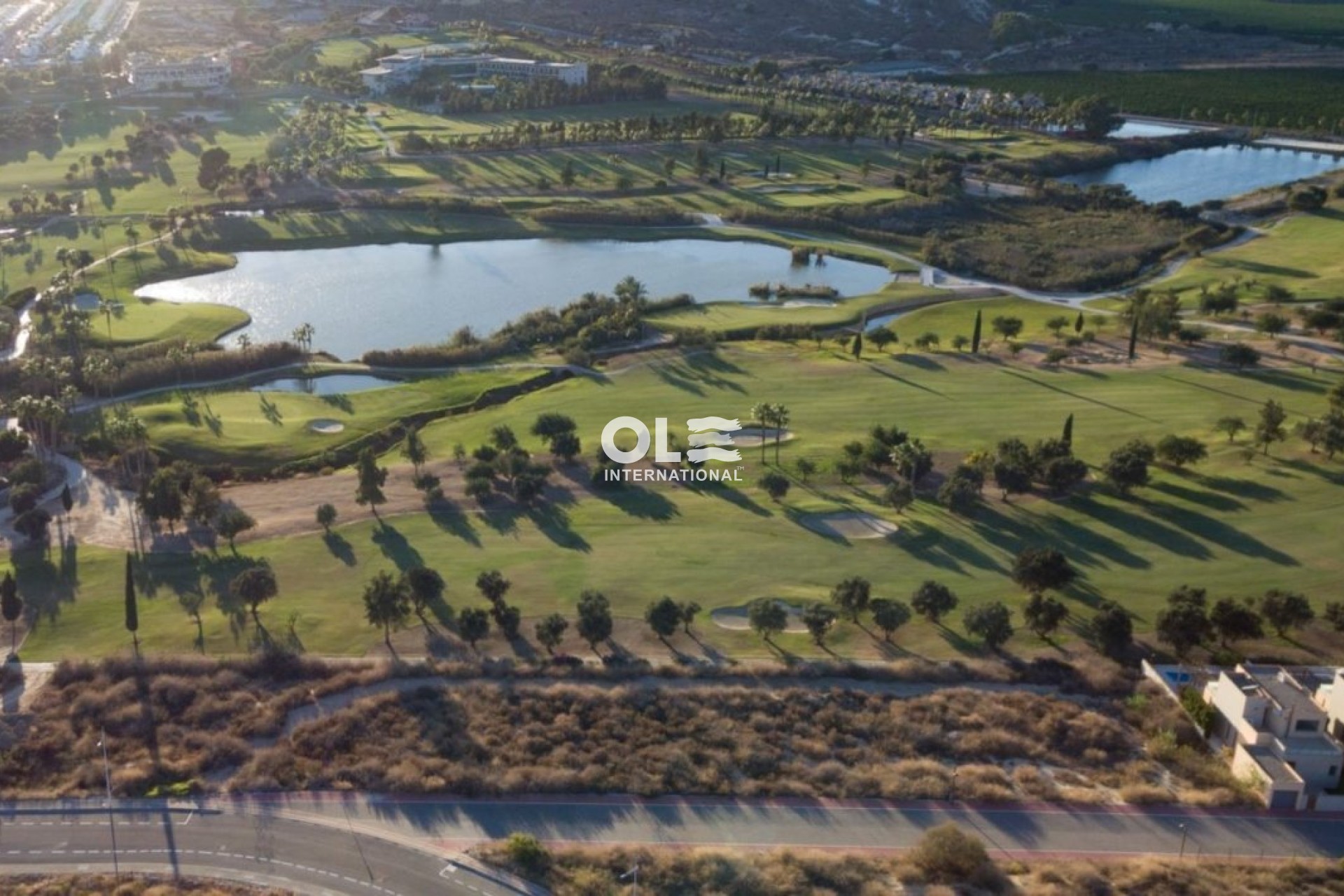 Nieuwbouw Woningen - Villa - Algorfa - La Finca Golf