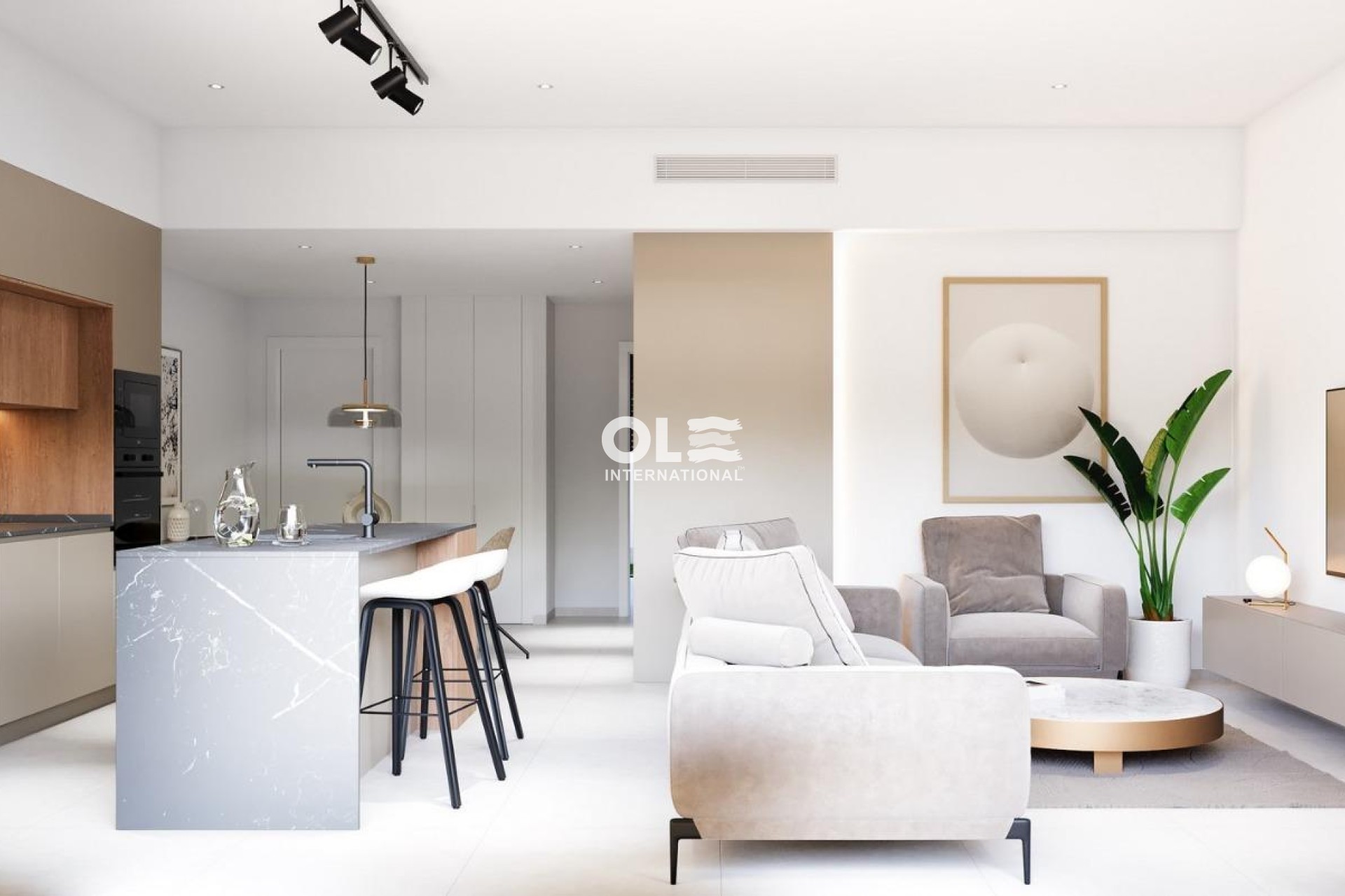 Nieuwbouw Woningen - Villa - Pilar de la Horadada - parques de Andromeda