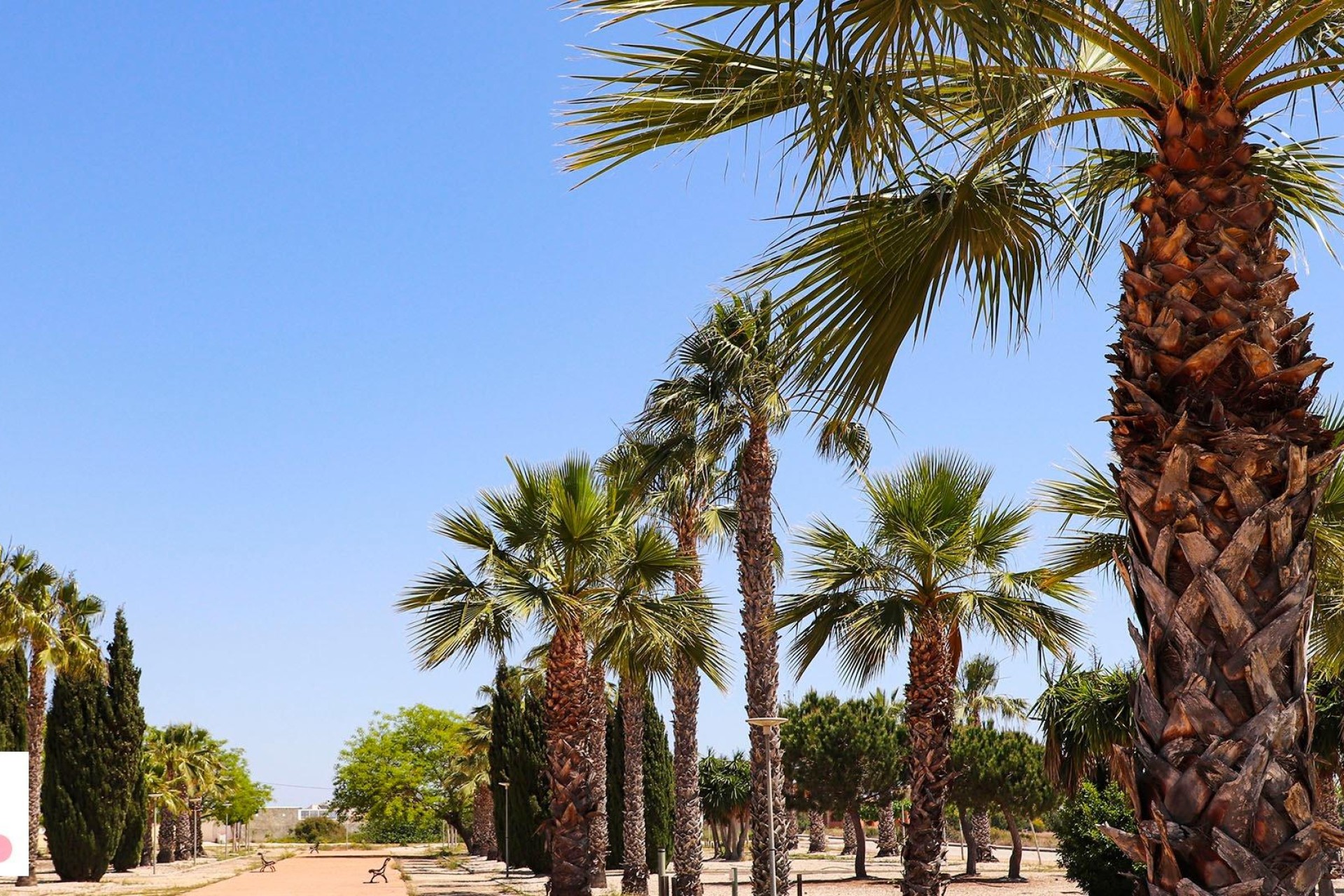 Nieuwbouw Woningen - Villa - San Fulgencio - La Escuera