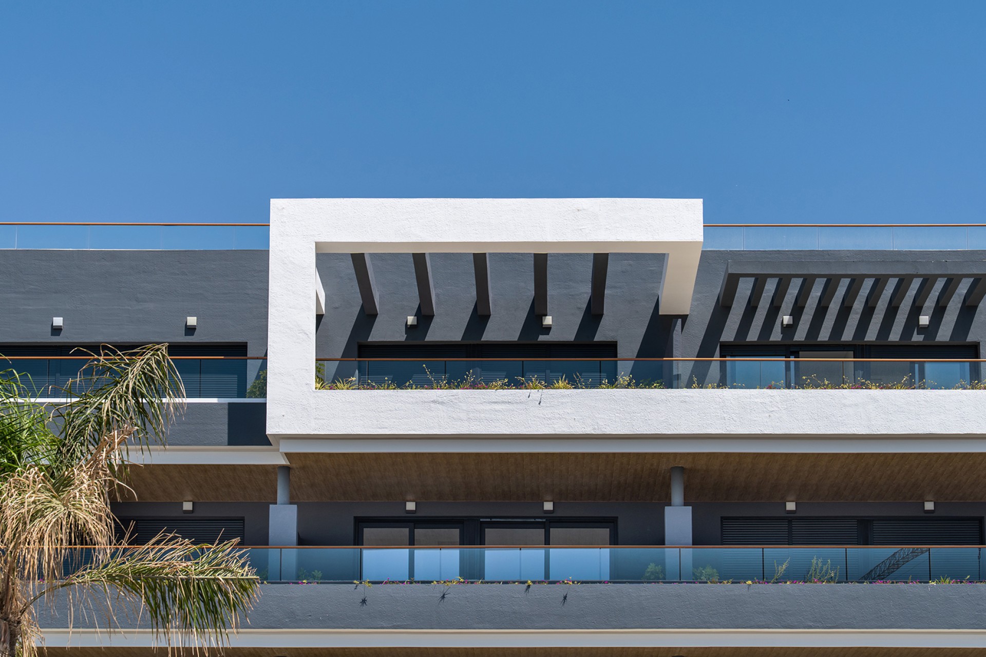 Nouvelle construction - Apartment - ﻿Torrevieja (Alicante) - Spain