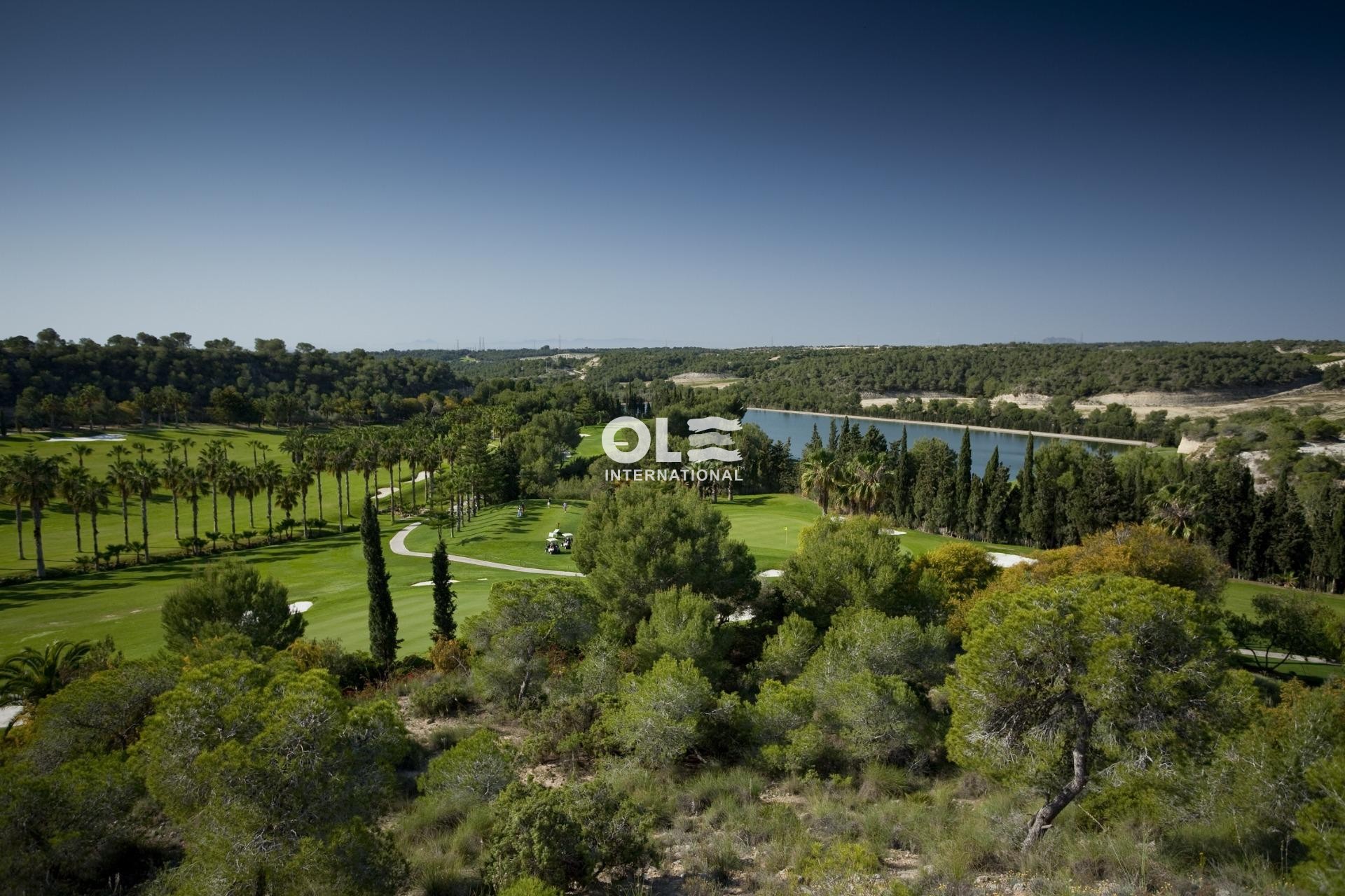 Nouvelle construction - Apartment - Orihuela Costa - Lomas de Campoamor