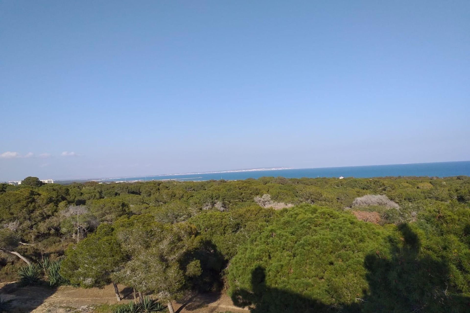 Nouvelle construction - Attique - Guardamar del Segura - Pueblo