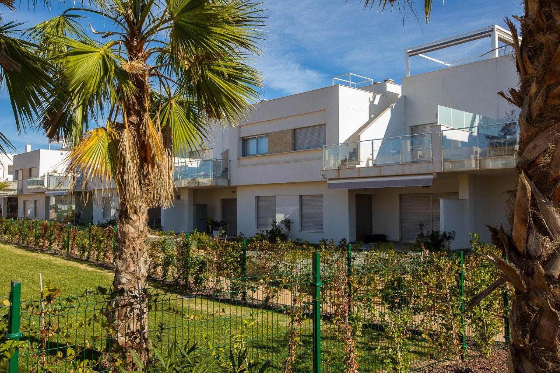 Nouvelle construction - Bungalow - Orihuela Costa - Vistabella Golf