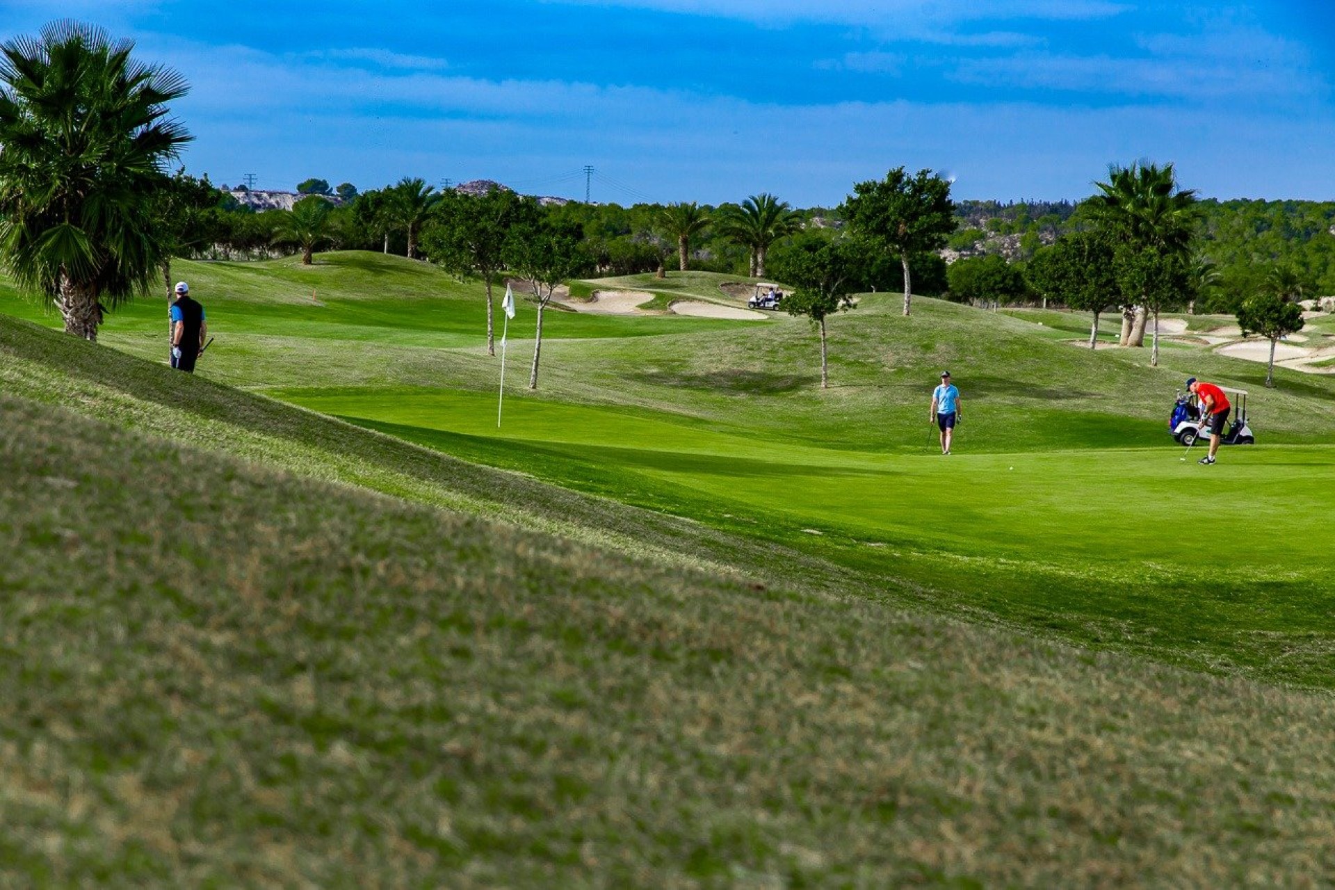 Nouvelle construction - Bungalow - Orihuela Costa - Vistabella Golf