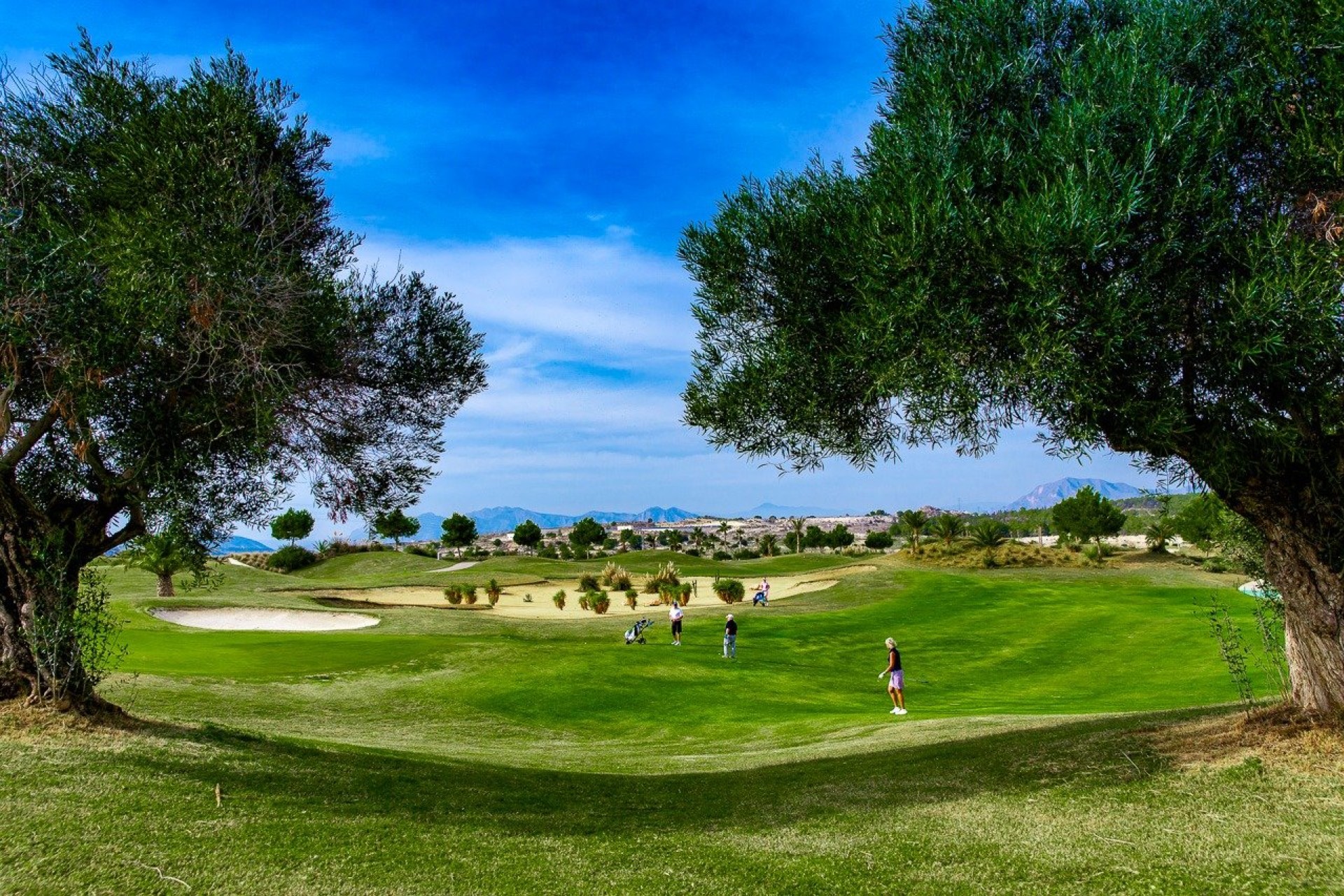 Nouvelle construction - Bungalow - Orihuela Costa - Vistabella Golf