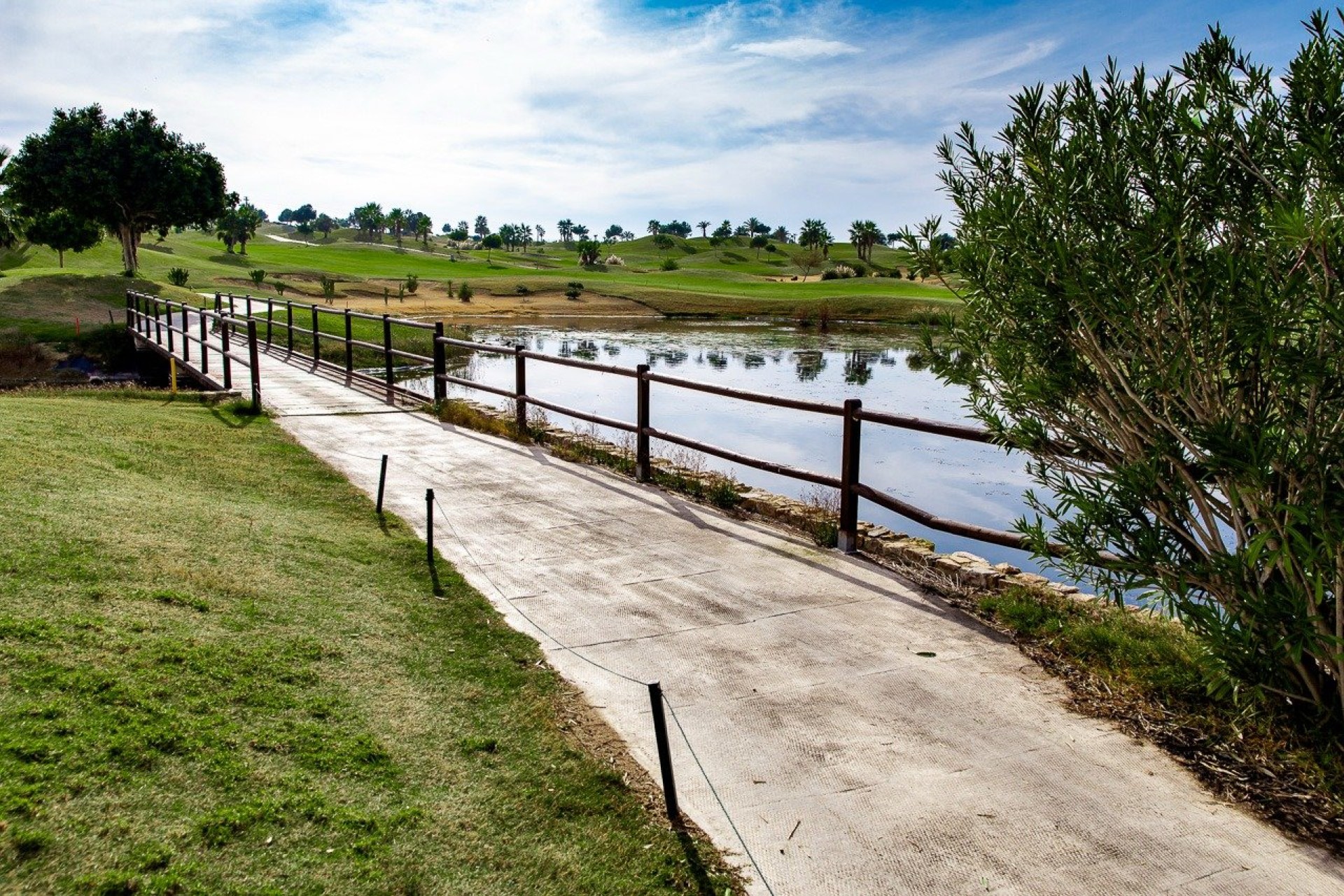 Nouvelle construction - Bungalow - Orihuela Costa - Vistabella Golf