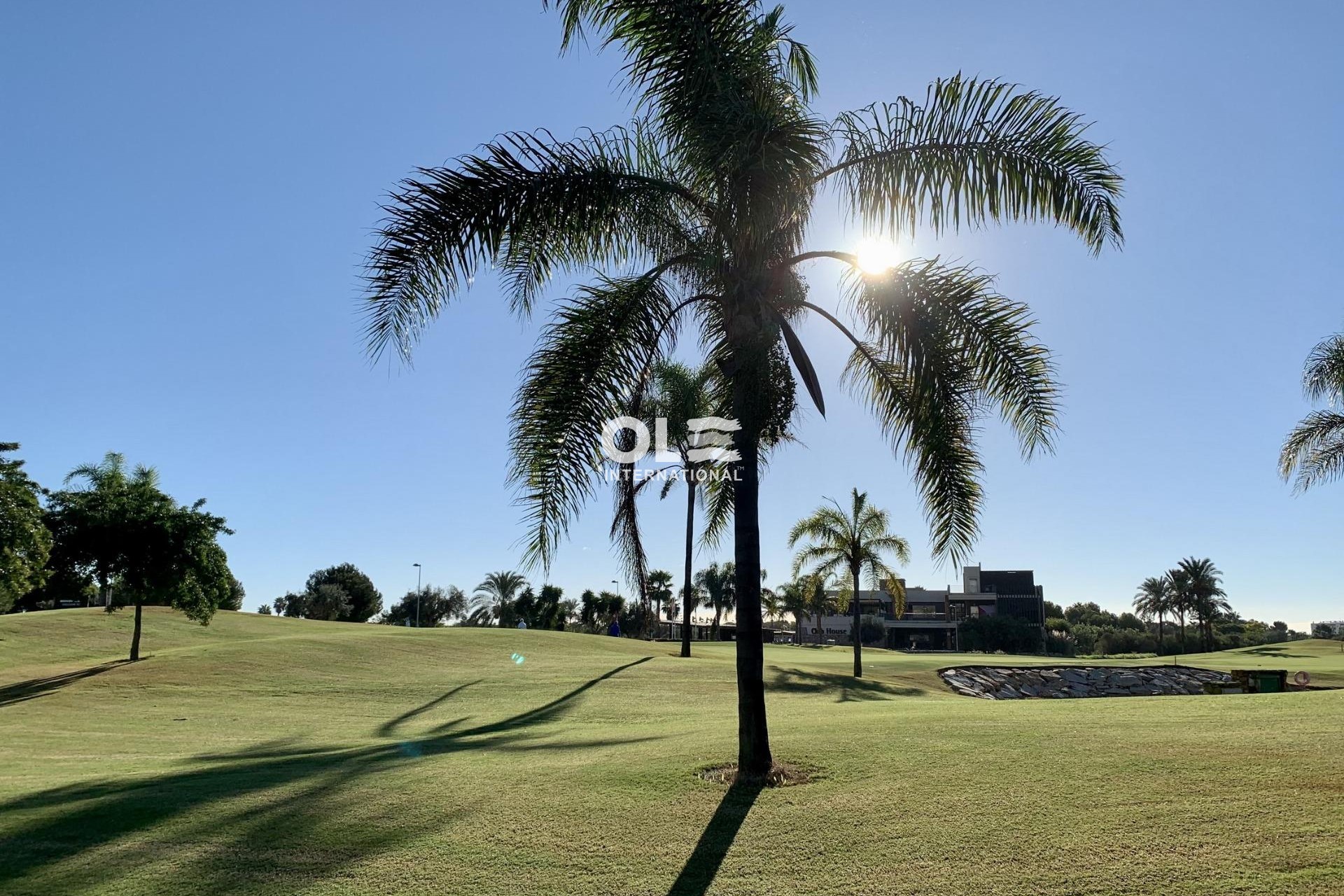 Nouvelle construction - Bungalow - San Javier - Roda Golf