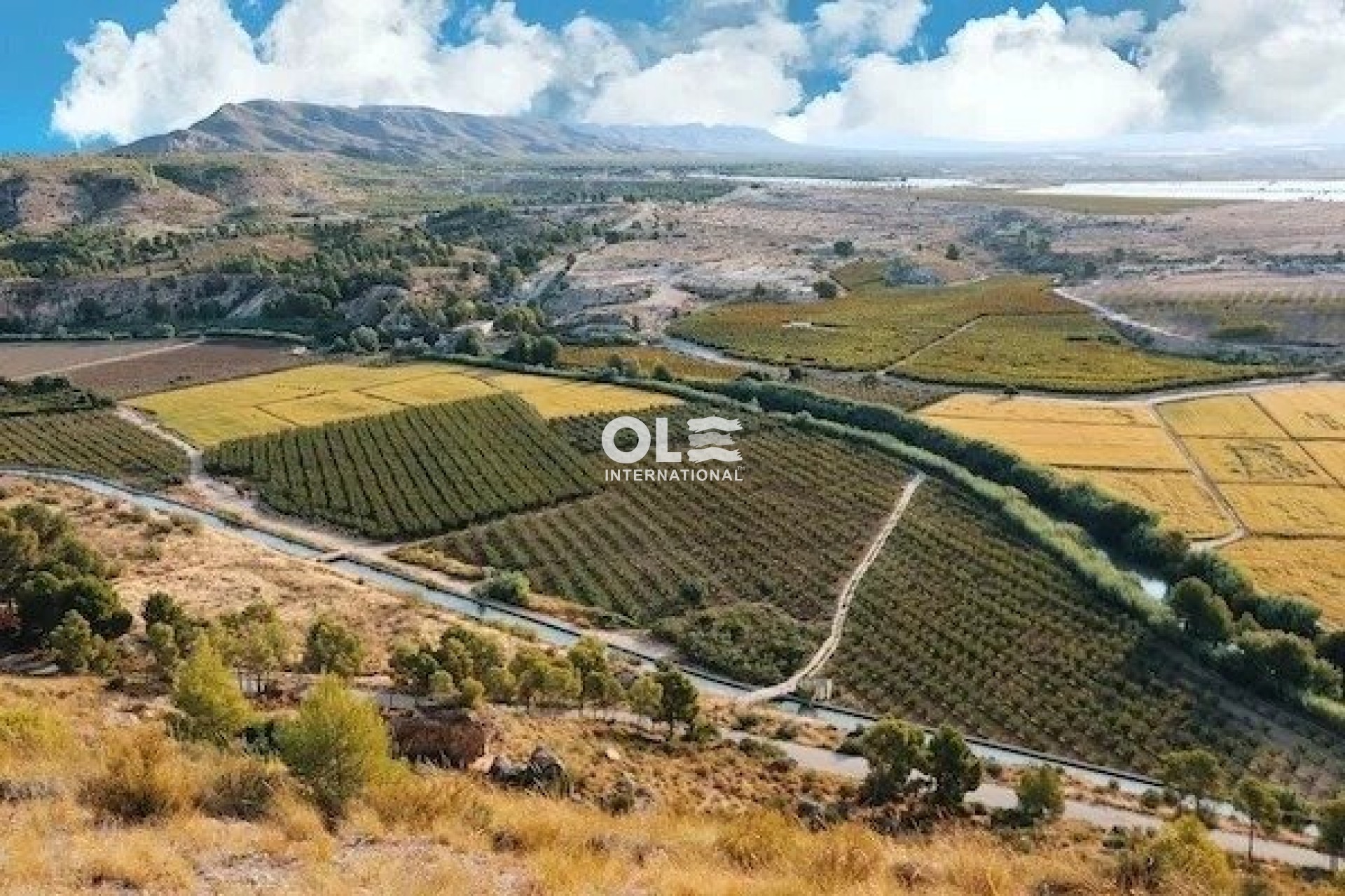 Nouvelle construction - Villa - Calasparra - Coto Riñales