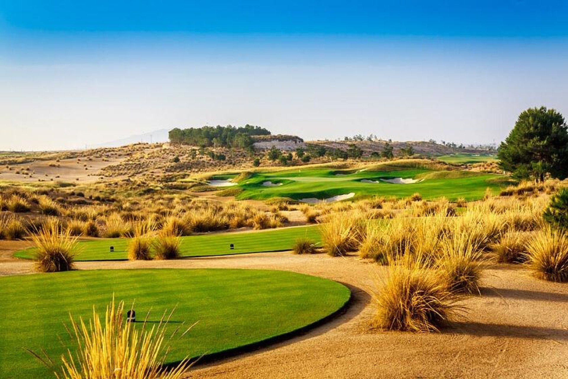 Nouvelle construction - Villa - Condado de Alhama Golf Resort - Condado De Alhama