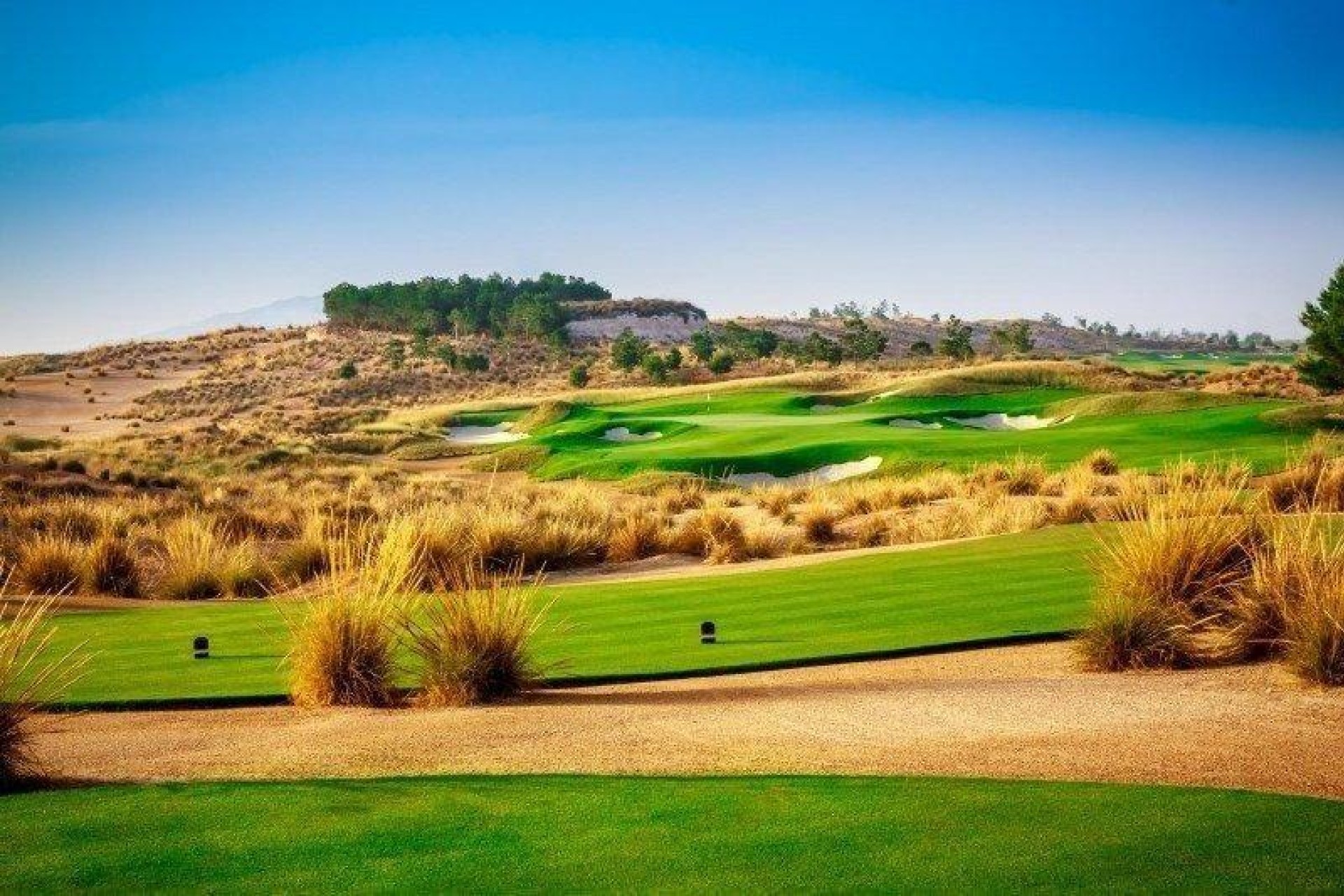 Nouvelle construction - Villa - Condado de Alhama Golf Resort - Condado De Alhama