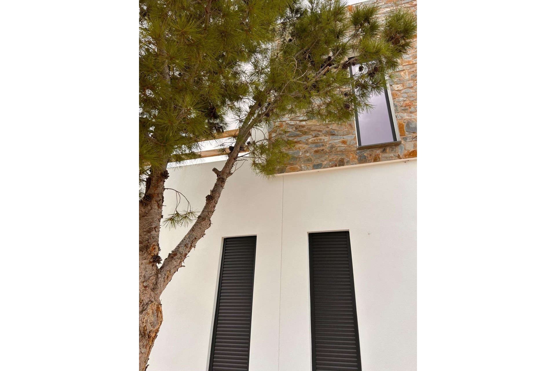 Nouvelle construction - Villa - Pinoso - Casas Pastor