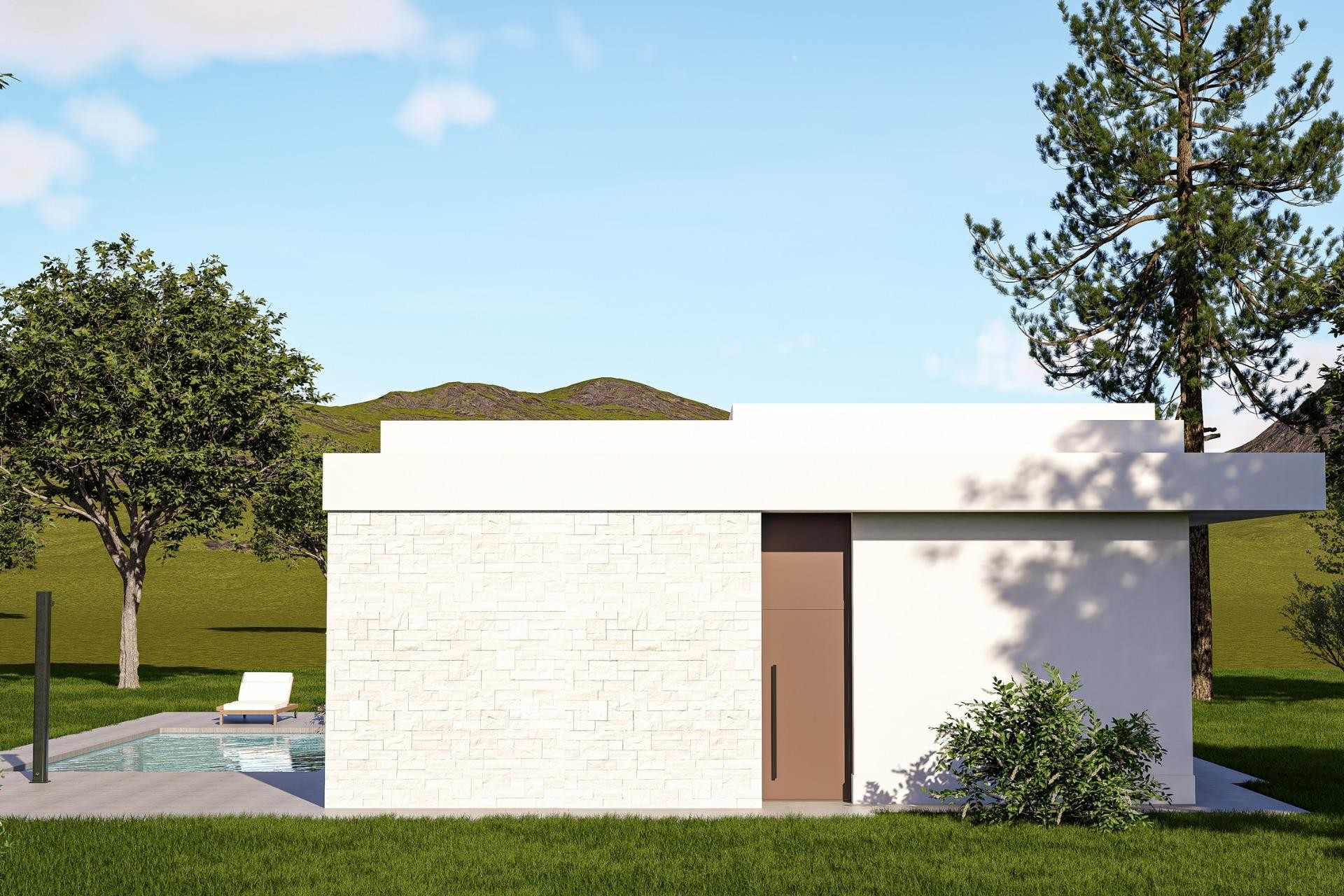 Nouvelle construction - Villa - Pinoso - Lel