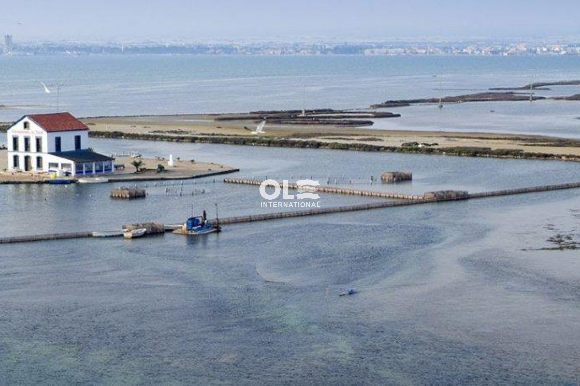 Nouvelle construction - Villa - San Pedro del Pinatar - Las Esperanzas