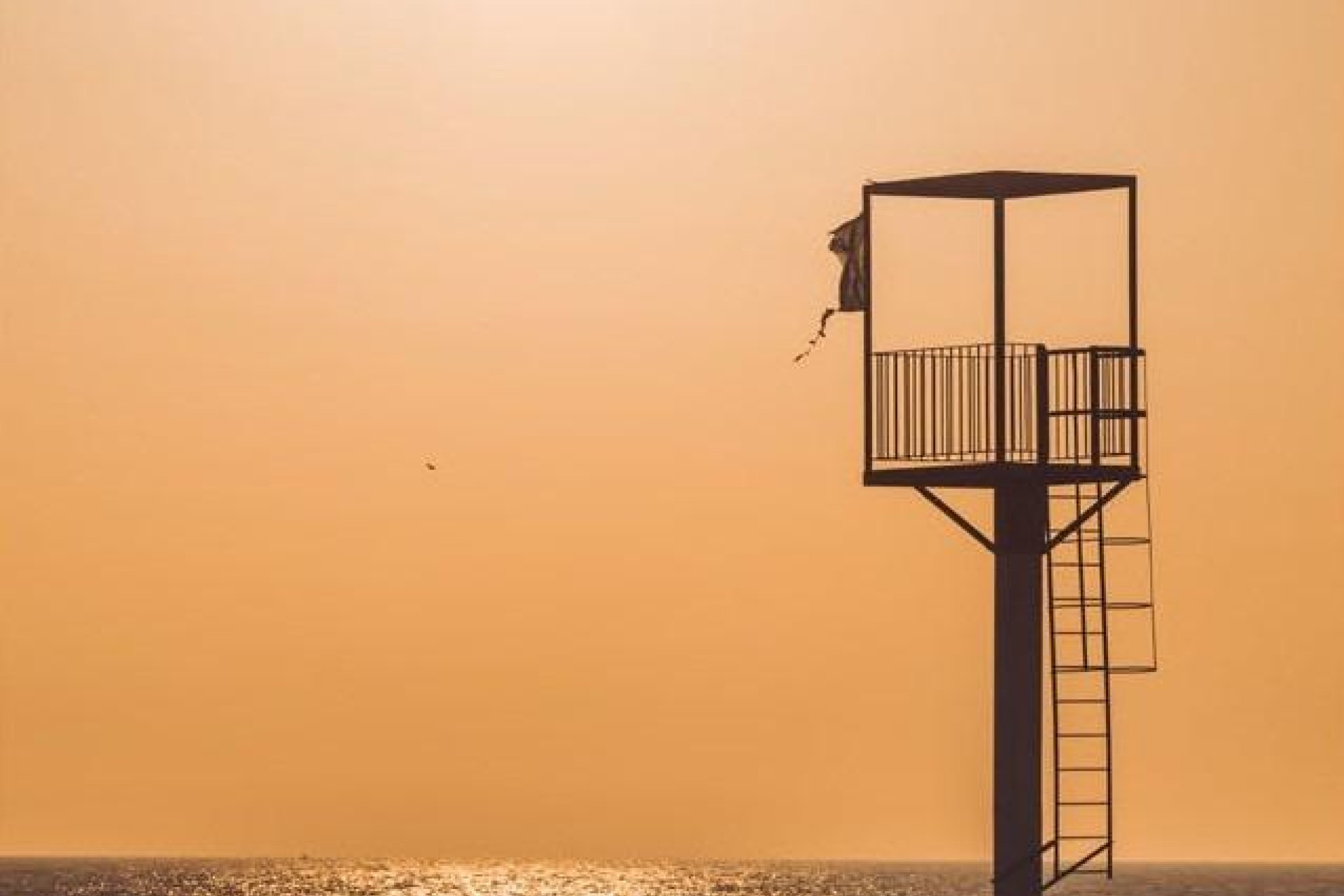 Новое здание - Apartment - Almerimar