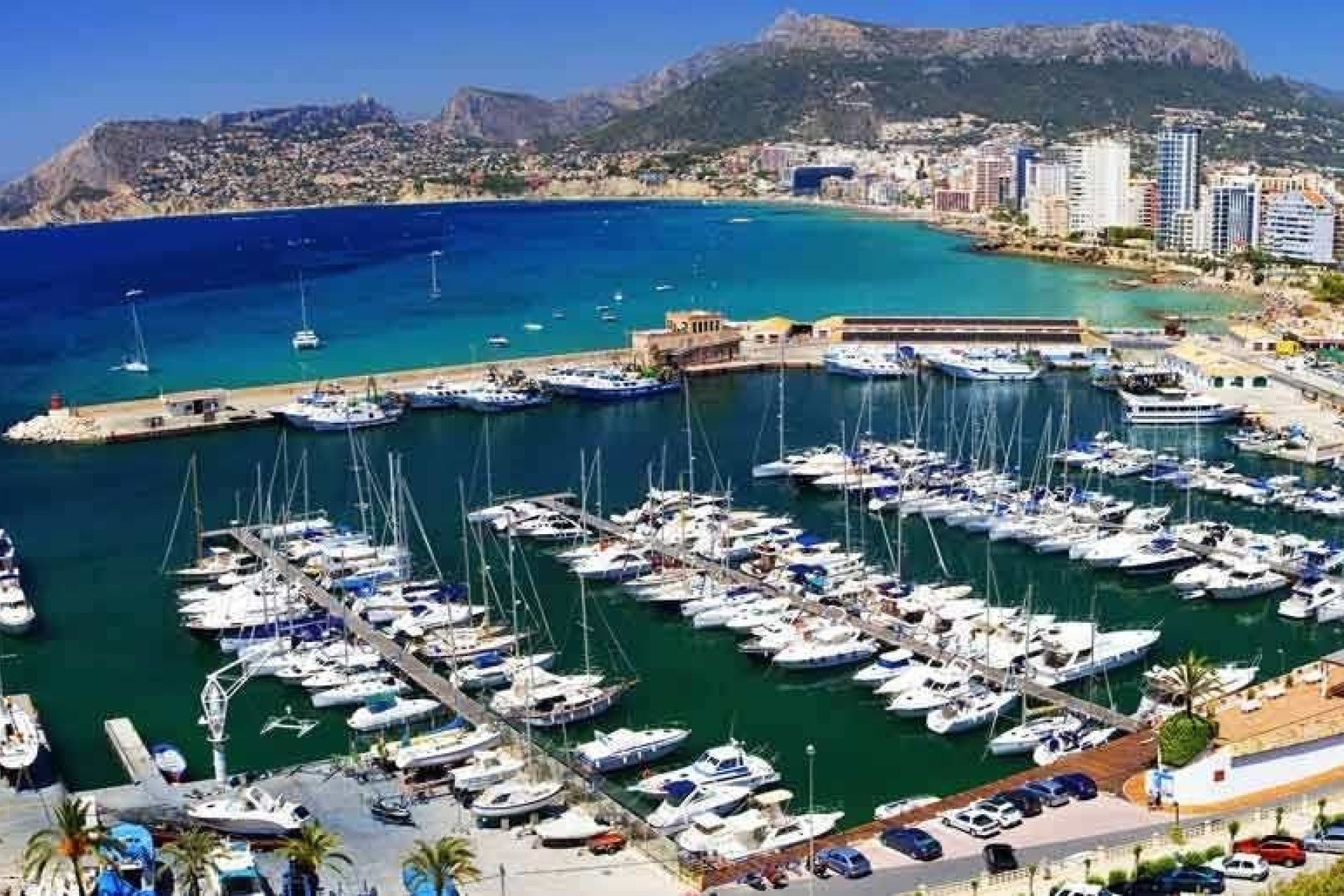 Новое здание - Apartment - Calpe - Playa del Bol