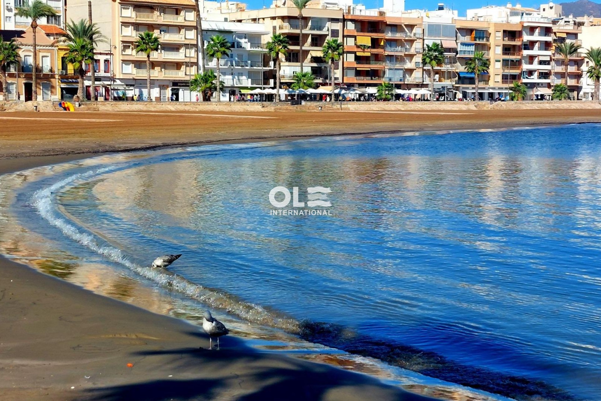 Новое здание - Apartment - Fuente Álamo - La Pinilla