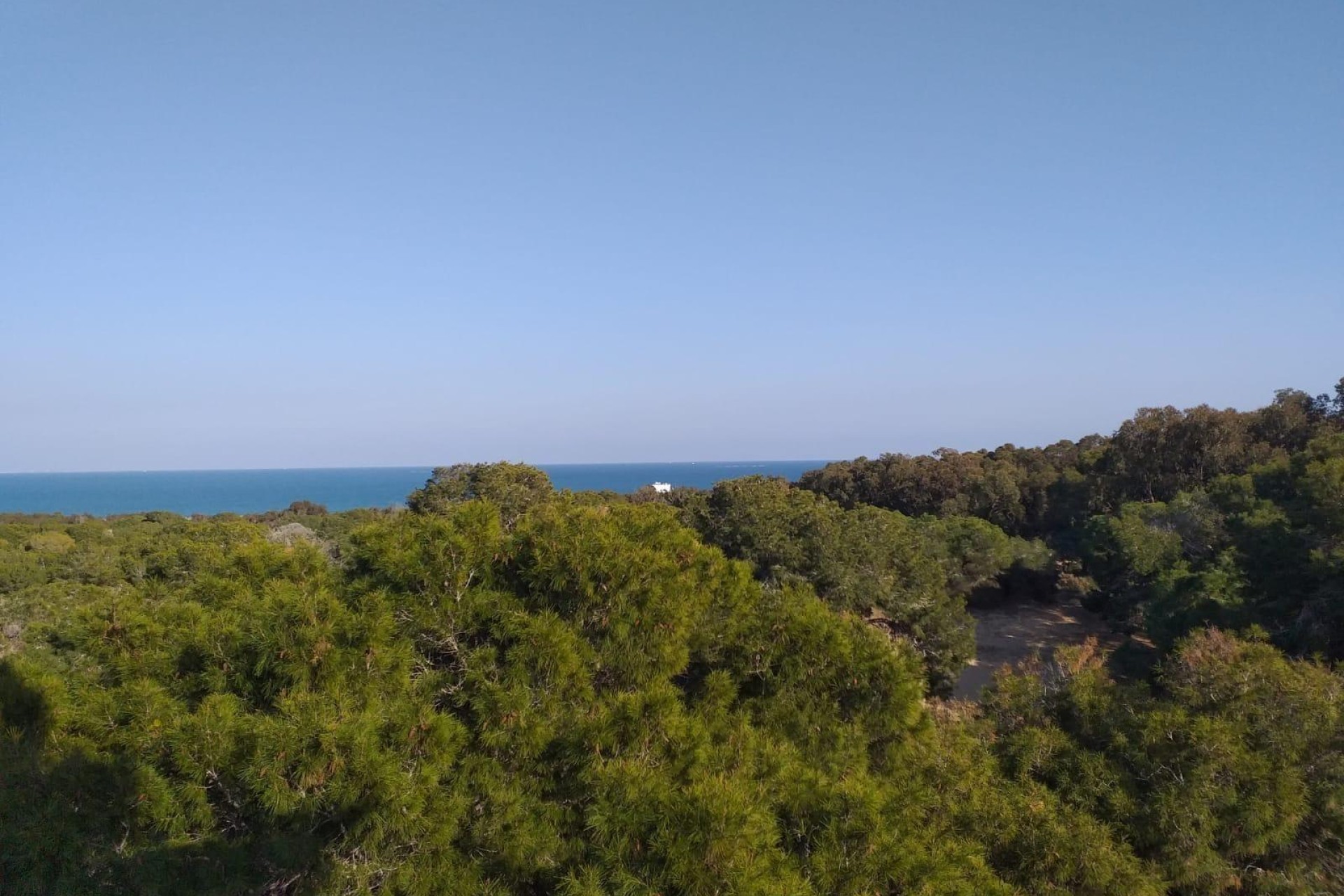 Новое здание - Apartment - Guardamar del Segura - Pueblo