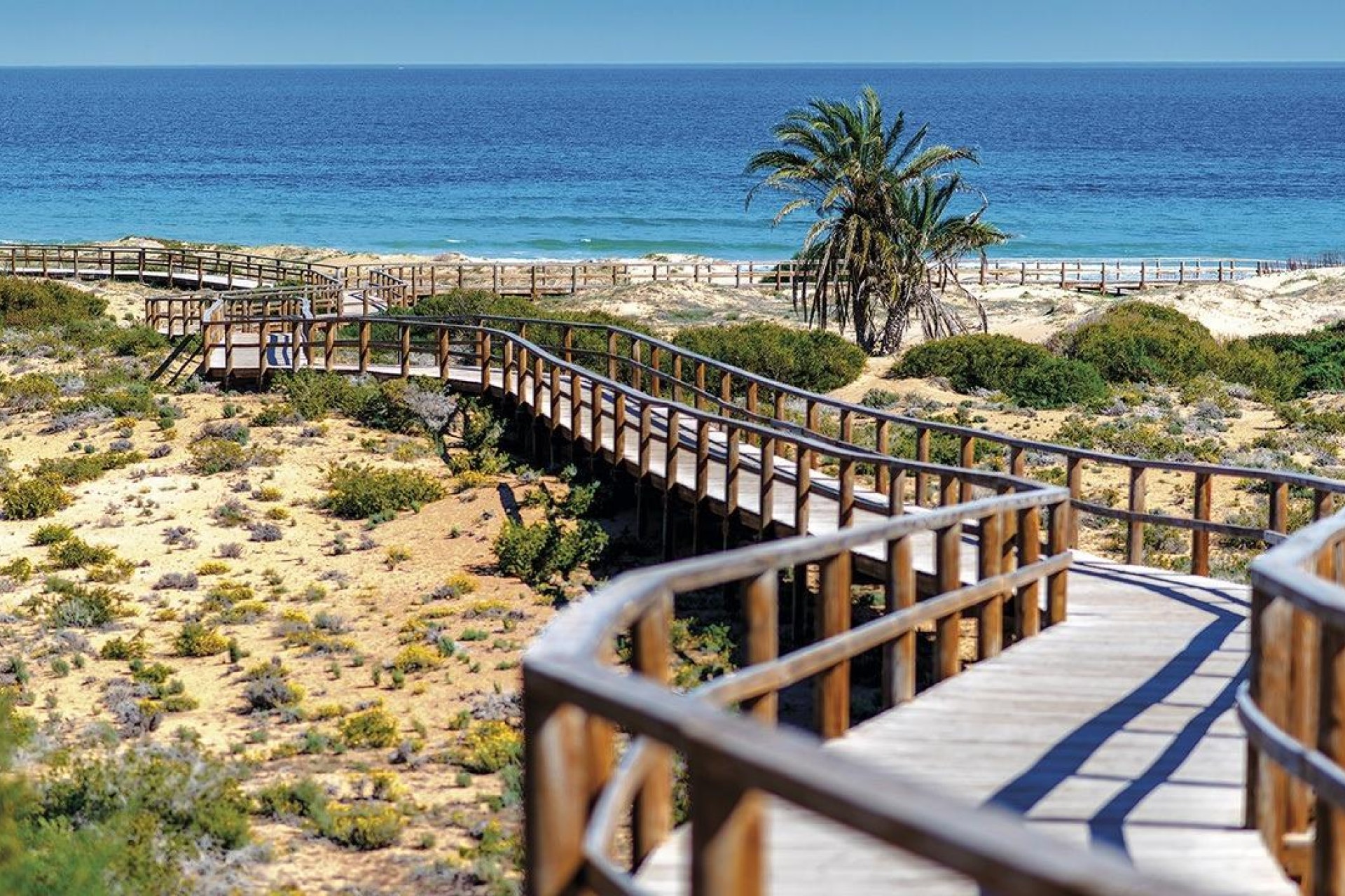 Новое здание - Apartment - Monforte del Cid - Alenda Golf