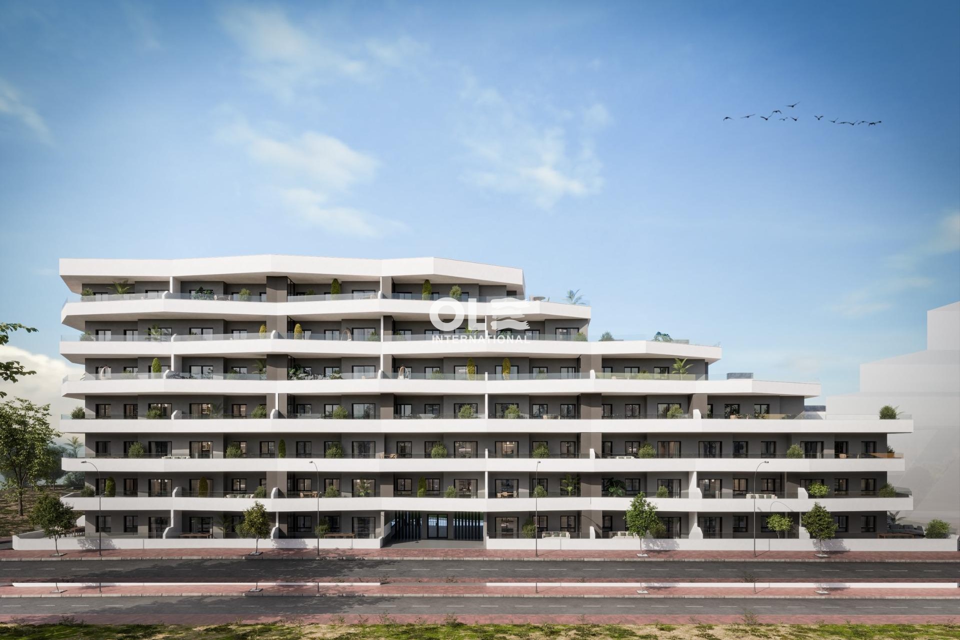 Новое здание - Apartment - San Miguel de Salinas - Pueblo